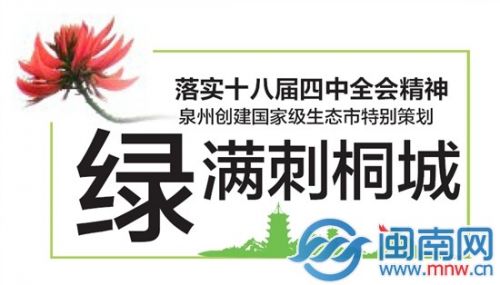 绿满刺桐城