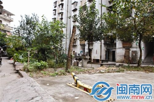 小区绿地被居民改装成停车位