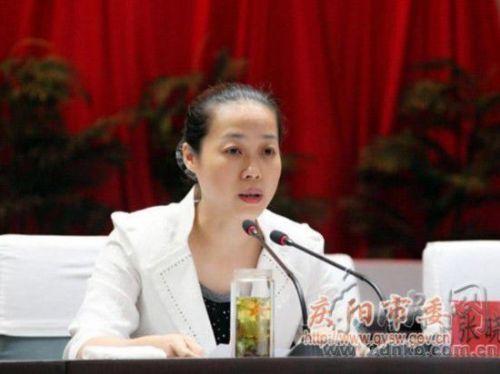 甘肃省委常委、省纪委书记张晓兰