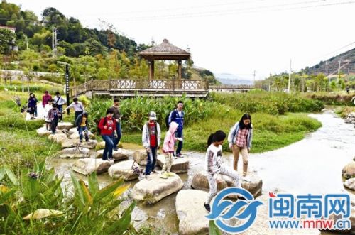 霞陵溪整治后变身湿地公园，植物多景色美，体验团赞叹不已