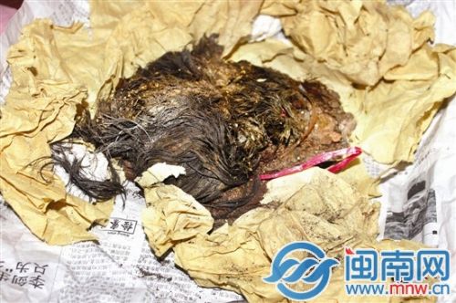 墓主人毛发保存完好