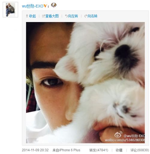 EXO世勋开微博不到三周粉丝破100万 用中文