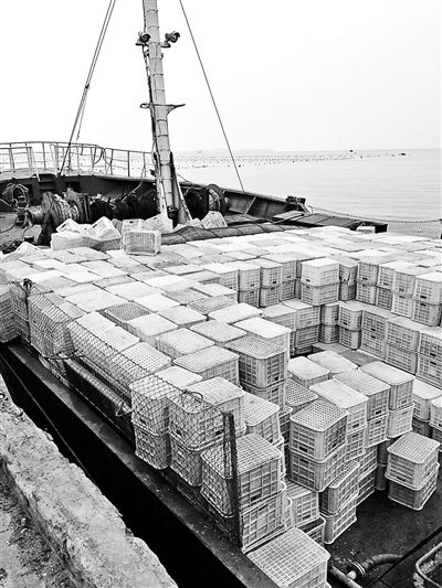 装贝苗的塑料筐