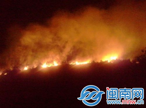 山火1