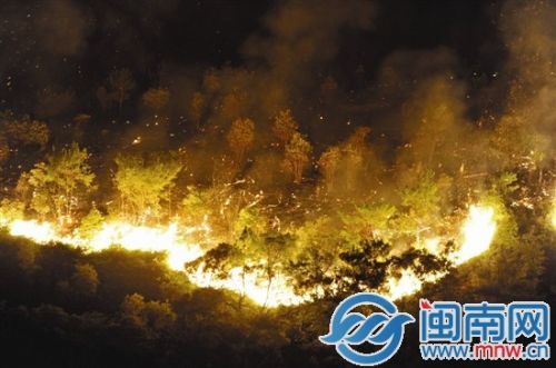 山火连烧4个多小时