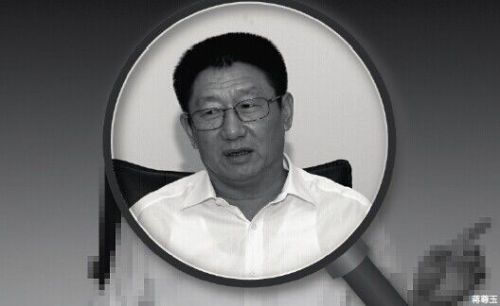 深圳政法委书记蒋尊玉家族插手大运会工程 向林存德买官