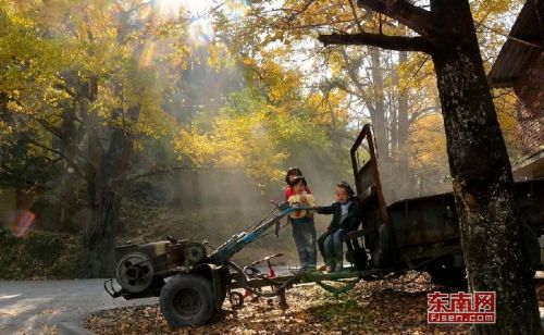 大田广平镇万宅村