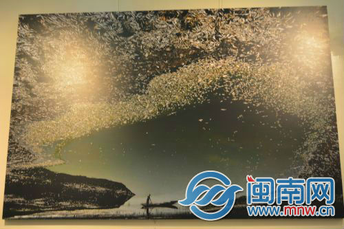 第十届“华赛”在泉州颁奖 230幅获奖新闻摄影作品展出