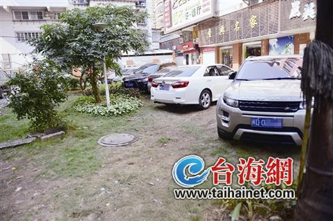 小区绿化带成了“停车场”