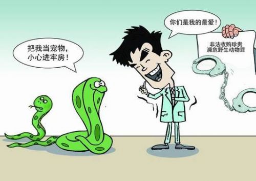 多次收购珍贵濒危蛇类在家饲养