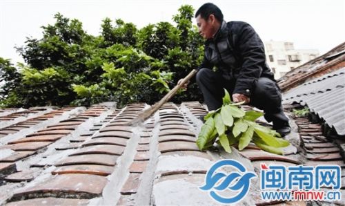 昨天上午，施工队江师傅给阿肥家漏雨的屋顶水泥加固