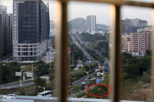 杨思仙在回家路上遭歌喉身亡现场图片