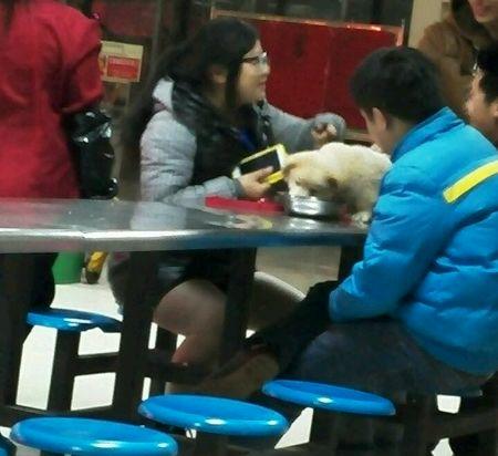 江西新余学院食堂学生用餐具喂狗照片热传 学校展开调查