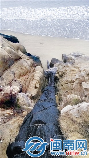 裹着黑布的油管通向海里