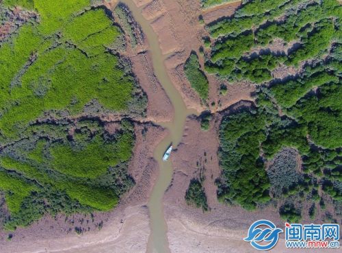 洛阳桥东侧的绿色“肺”部