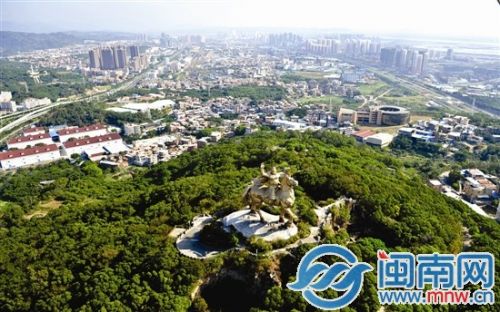 绿意盎然的大坪山