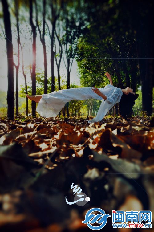 树林：她轻盈、纯白，她是这小树林里的主，安谧、空灵。