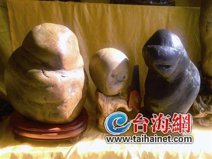 漳州智能机器人展1