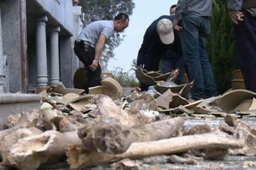 曝东莞一农村公墓遭人破坏 骸骨散落一地