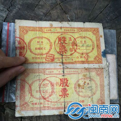 张先生收藏的两张股票
