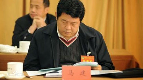 国家安全部副部长马建简历及照片 国安系统首名落马官员 