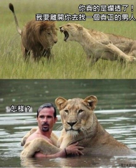 话说回来，白领什么的，除了领子是白的没一个能对的上号的啊！ 