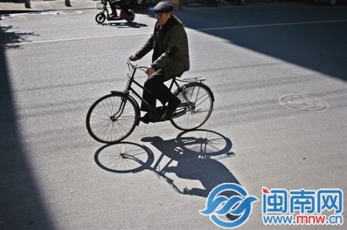 暖阳斜照，甚是舒爽。昨日下午摄于漳州市区瑞京路