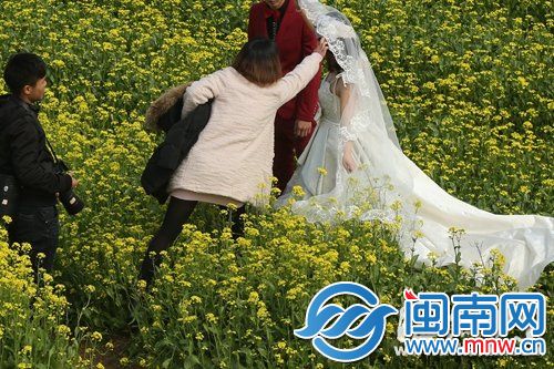 一个摄影助理踏入花丛为拍婚纱的新娘整理婚纱