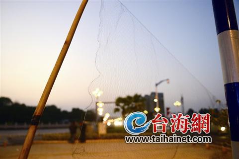 红绿灯处拉网捕鸟