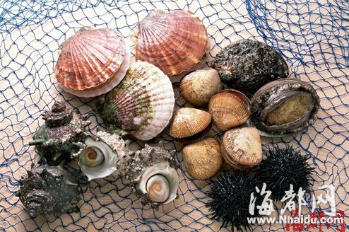 诺如病毒经常寄生于贝类等水产品中