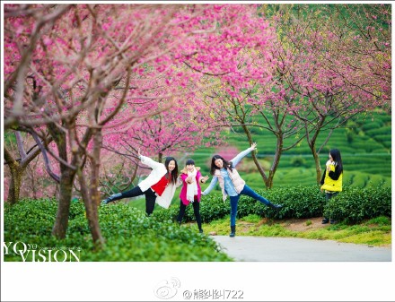 年年岁岁花相似,岁岁年年人不同。二月相约永福,赏樱品茶。 (3)