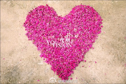 年年岁岁花相似,岁岁年年人不同。二月相约永福,赏樱品茶。 (7)