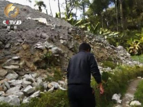 接近10米的石料堆白花花的花岗岩暴露在外