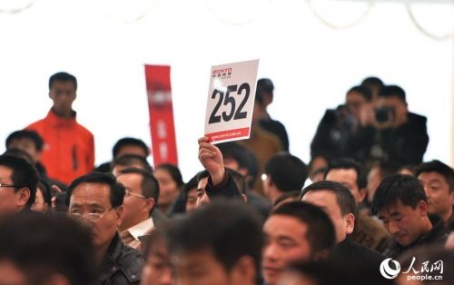 编号为252的买主最终以61000元拍得本场首辆车。