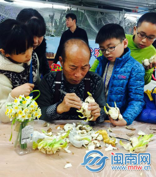 陈汉农老伯教小朋友雕水仙花