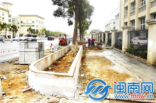 东园路沿线正在建设花池，将种上三角梅