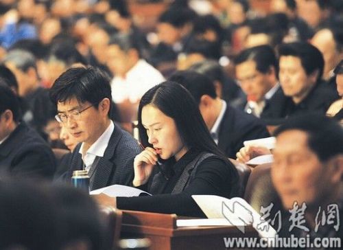 湖北人民检察院：蒋洁敏王永春等案侦查起诉获重大进展