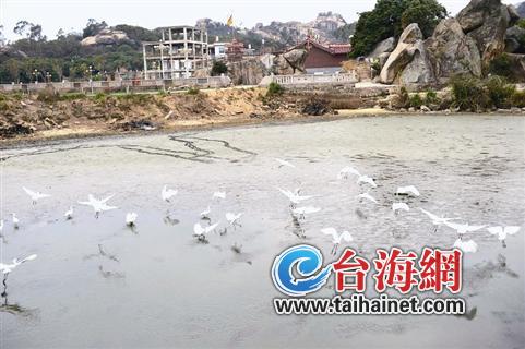 ▲美丽乡村可参照“国家农业公园”标准，让一个村成为一个景点