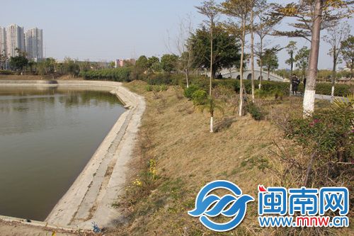 部分绿化隔离带比较稀疏，游人可轻松穿过走到湖边