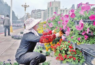 工人正在清流县城区西门桥沿桥面栏杆内外两侧立体花箱内摆放鲜花。