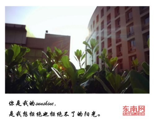 三明学院版“何以体” (1)