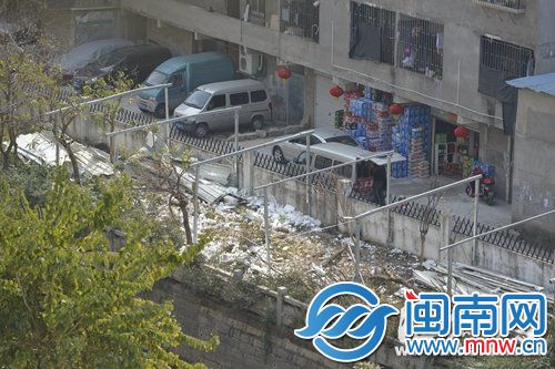 上百平方米綠化帶全被毀