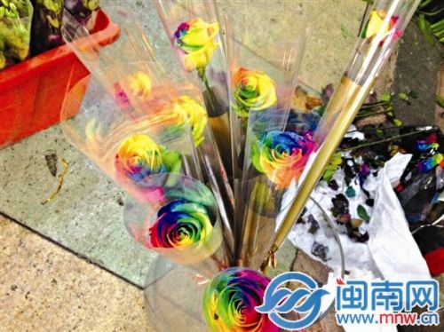 彩虹玫瑰