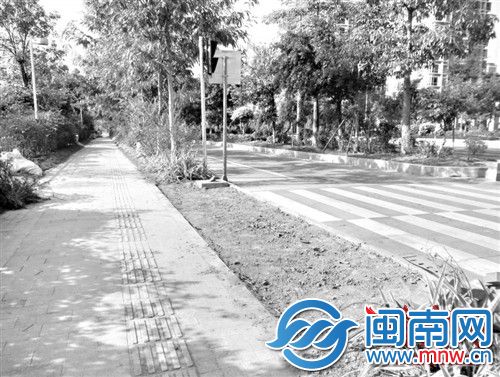绿化带阻断人行道，结果被踩得面目全非