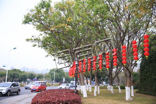 泉州市区江滨北路挂起大红灯笼