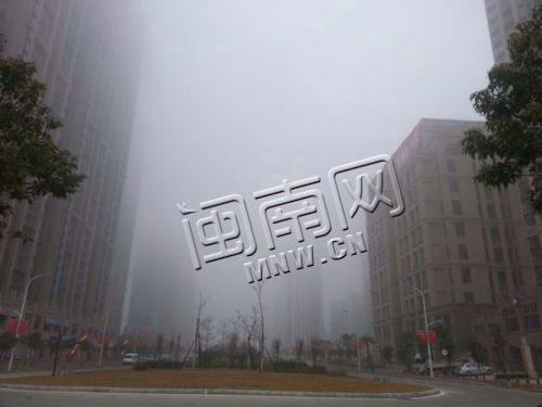 被浓雾笼罩的厦门市景8 海都记者 许茵茵
