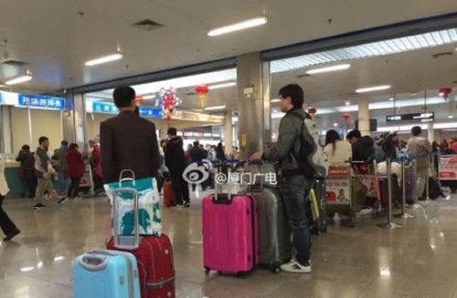 厦金航线滞留旅客