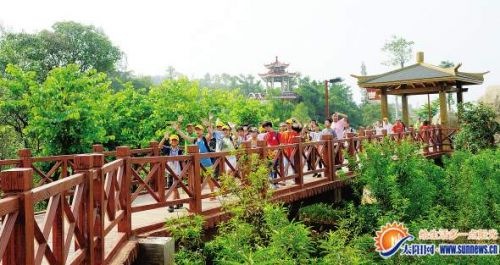 　香山郊野公园木栈道。通讯员 张天骄 摄