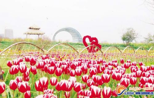 园博苑迎春花卉展等您来赏。