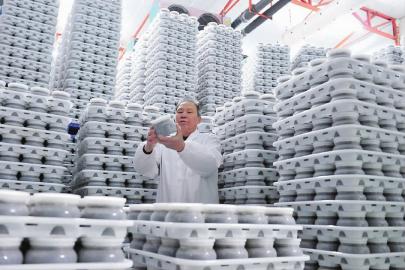 图为昨日全国首家银耳工厂化瓶栽企业祥云生物科技公司内,技术人员在查看新一批12万瓶银耳走菌情况。